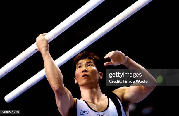 World Championships 2003 /Yang Tae-Young , Parallel Bars, Barres Paralleles, Mens Individual All-Round Final, Finale Individuelles General Femmes,...