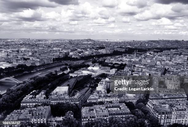 above the dense - larkin stock pictures, royalty-free photos & images