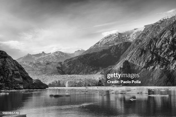 glacier - polla fotografías e imágenes de stock