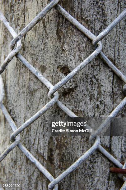 chainlink wire fencing on a wooden post - bowral new south wales stock pictures, royalty-free photos & images