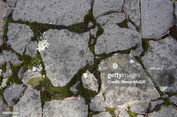 lichen and moss on the top of a stone wall - bowral new south wales stock pictures, royalty-free photos & images