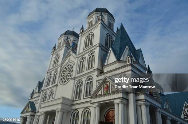 immaculate conception cathedral - cathedral of the immaculate conception stock pictures, royalty-free photos & images