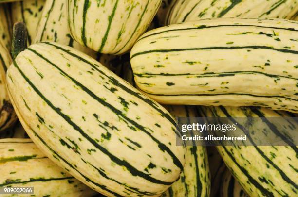 delicata squash - delicata squash stock pictures, royalty-free photos & images