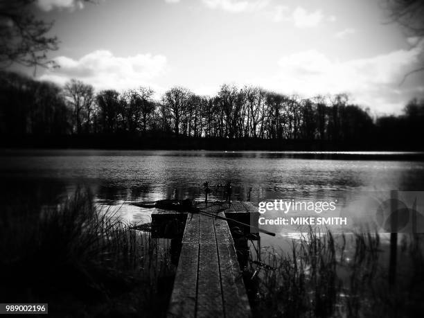 Eluded Photos and Premium High Res Pictures - Getty Images