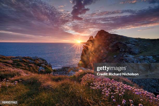 lizard point - cornwall - lizard point stock pictures, royalty-free photos & images