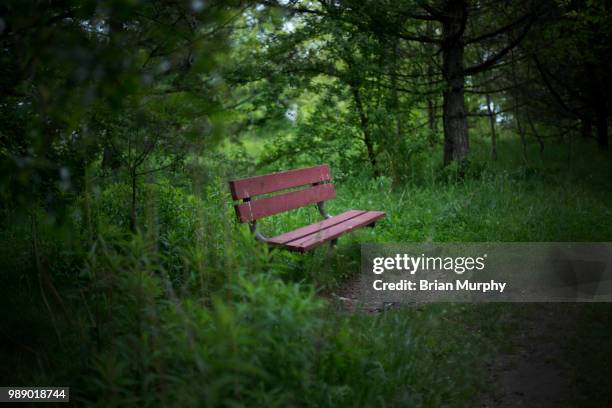 benched - brian murphy stock pictures, royalty-free photos & images