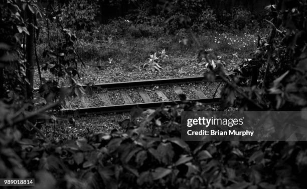 the secret railway - brian murphy stock pictures, royalty-free photos & images