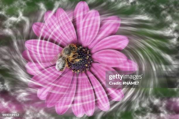 tornado (twister) - twister stock-fotos und bilder