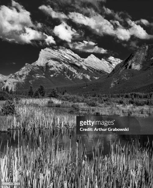 mount rundle from vermillion lakes - vermillion stock pictures, royalty-free photos & images