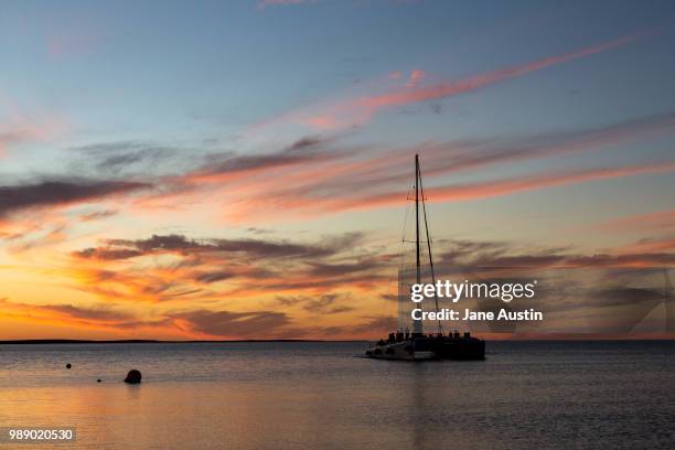 catamaran at sunset, monkey mia, western australia. - catamaran sailing stock-fotos und bilder