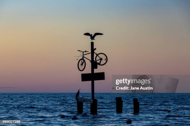 a seagull spreads its wings on a bicycle at the seaside. - sculpture by the sea imagens e fotografias de stock