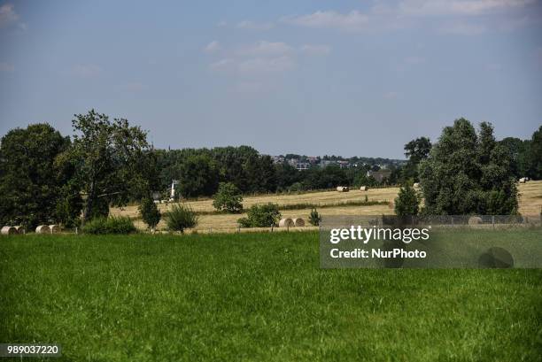 Hay harvest in Aachen Schleckheim on June 30, 2018. The farmers collect their hay for the supply of their milk cows in winter.