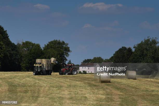 Hay harvest in Aachen Schleckheim on June 30, 2018. The farmers collect their hay for the supply of their milk cows in winter.