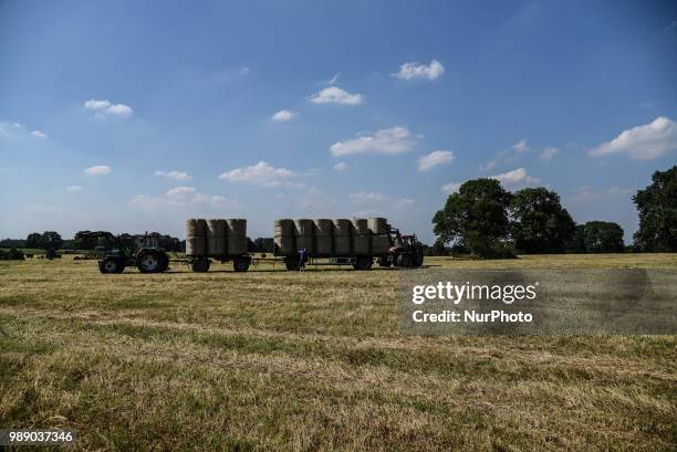 Hay harvest in Aachen Schleckheim on June 30, 2018. The farmers collect their hay for the supply of their milk cows in winter.