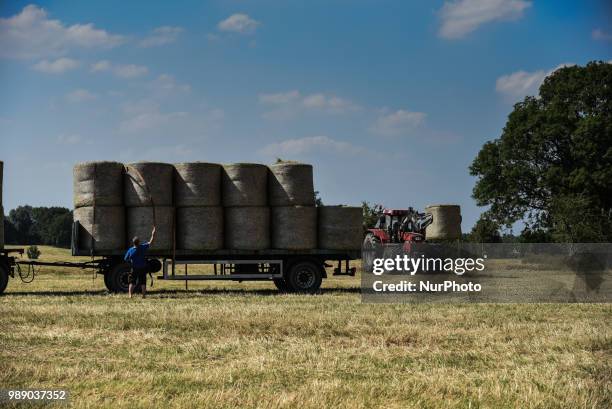 Hay harvest in Aachen Schleckheim on June 30, 2018. The farmers collect their hay for the supply of their milk cows in winter.