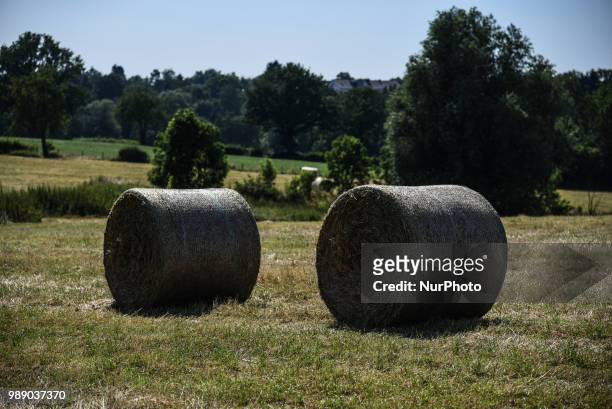 Hay harvest in Aachen Schleckheim on June 30, 2018. The farmers collect their hay for the supply of their milk cows in winter.