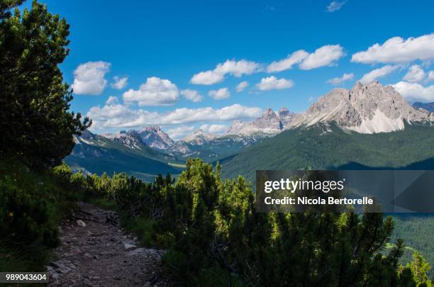 dolomites landscapes - nicola tree imagens e fotografias de stock