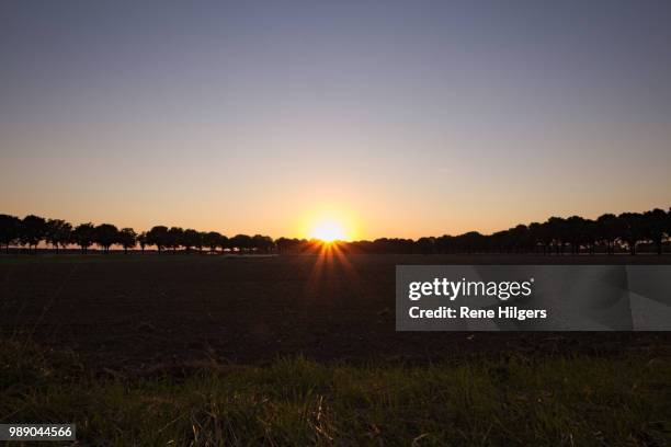 sonnenuntergang in posterholt(nl) - sonnenuntergang fotografías e imágenes de stock