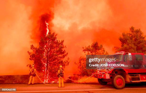 Tree ignites as firefighters attempt to stop flames from the Pawnee fire from jumping across highway 20 near Clearlake Oaks, California on July 1,...