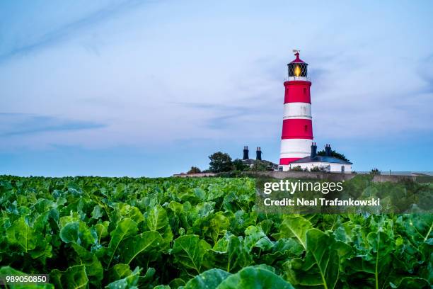 happisburgh lighthouse sunrise - happisburgh lighthouse stock pictures, royalty-free photos & images