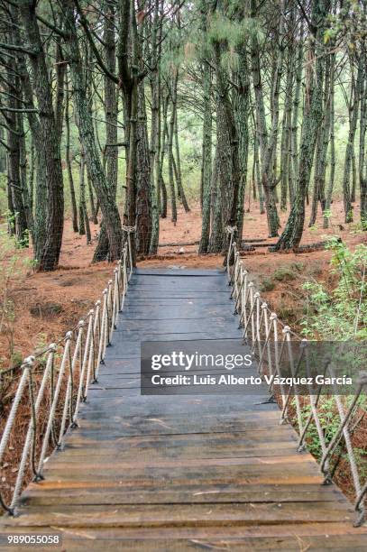 puente colgante. nepopualco morelos. - puente colgante stockfoto's en -beelden