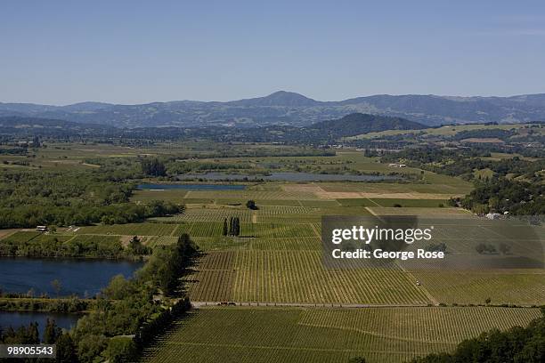 Pinot Noir and Chardonnay vineyards and oak trees dot the rolling hillsides along the Russian River Valley as seen in this 2010 Healdsburg, Russian...
