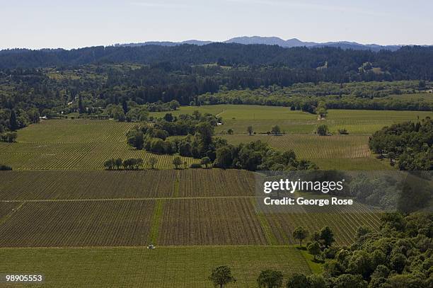Pinot Noir and Chardonnay vineyards and oak trees dot the rolling hillsides along the Russian River Valley as seen in this 2010 Healdsburg, Russian...