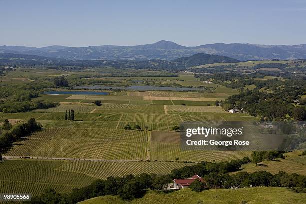 Pinot Noir and Chardonnay vineyards and oak trees dot the rolling hillsides along the Russian River Valley as seen in this 2010 Healdsburg, Russian...