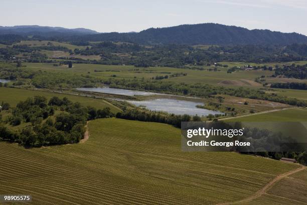 Pinot Noir and Chardonnay vineyards and oak trees dot the rolling hillsides along the Russian River Valley as seen in this 2010 Healdsburg, Russian...