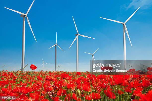 wind turbine in poppy field - eoliennes stockfoto's en -beelden