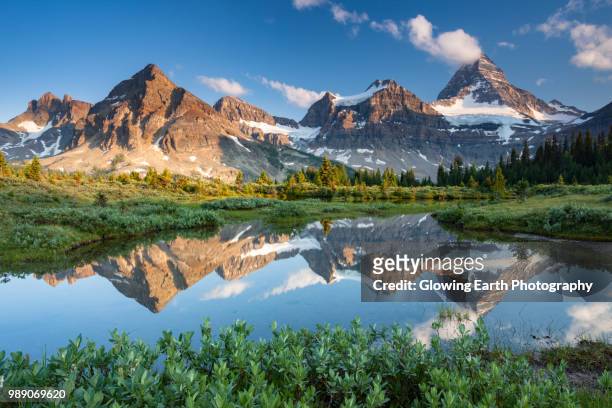 mount assiniboine provincial park, edgewater, british columbia, canada. - british columbia stock pictures, royalty-free photos & images
