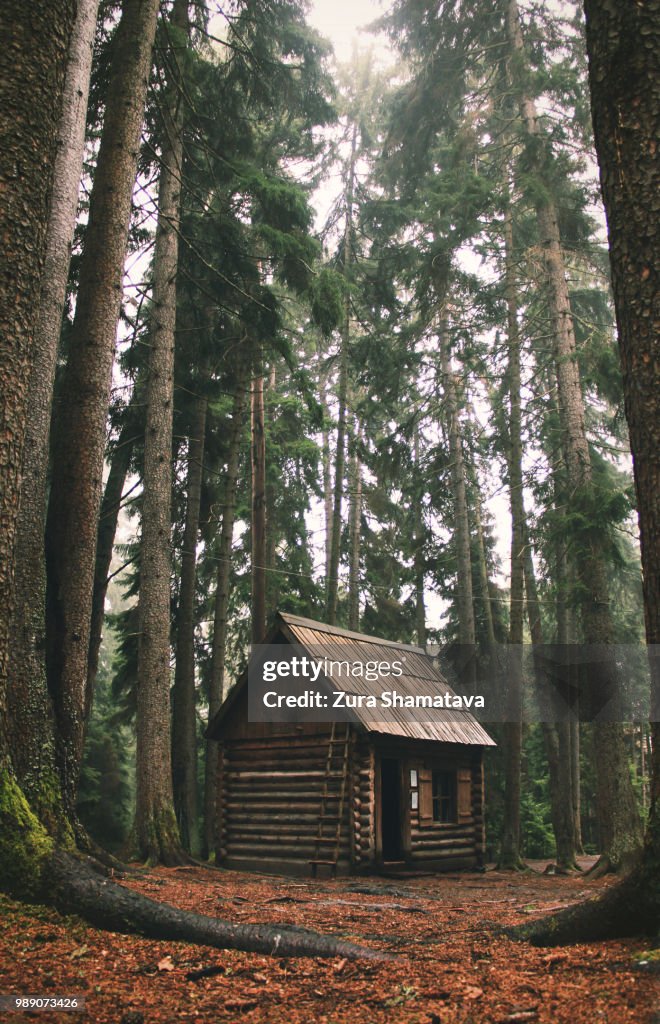 A small log hut in the forest.