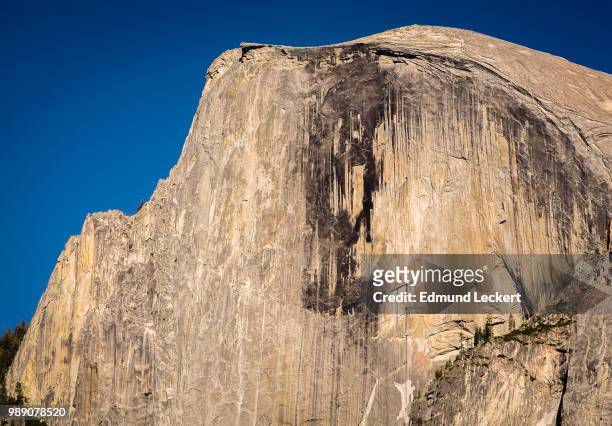 face of an icon, yosemite national park, california - leckert stockfoto's en -beelden