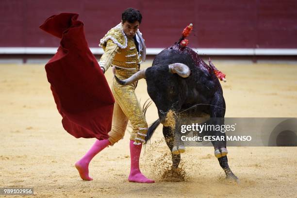 Spanish matador Paco Urena performs with "muleta" on a bull from Victorino Martin's livestock during a bullfight at the "Coliseum Burgos" bullring in...