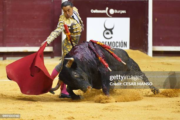 Spanish matador Jose Ignacio Ramos performs with "muleta" on a bull from Viztorino Martin's livestock during a bullfight at the "Coliseum Burgos"...