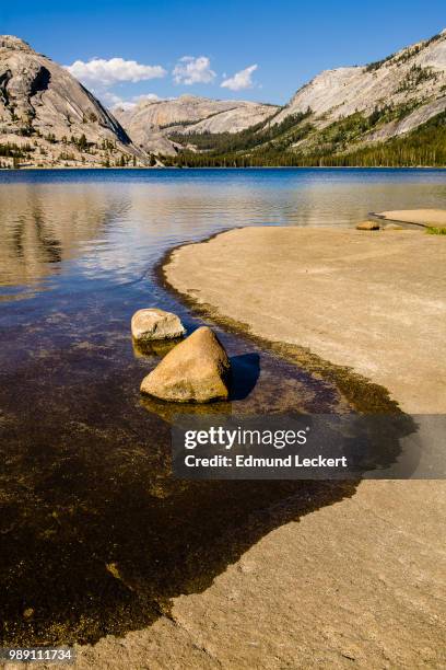 tenaya lake, yosemite national park, california - leckert stockfoto's en -beelden