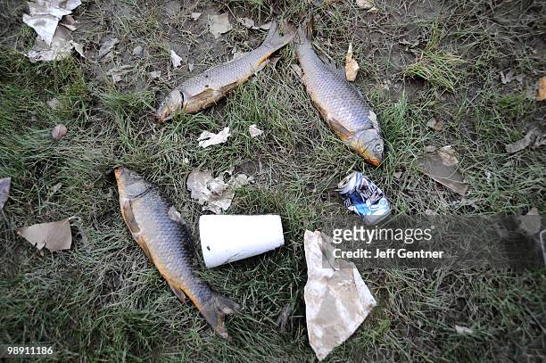 Dead fish and trash outside of the Knights Inn near downtown May 7, 2010 in Nashville, Tennessee. Massive rainstorms caused at least 29 deaths and...