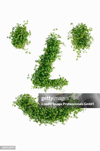 smiley face in cress on white background, close-up - smiley face stock pictures, royalty-free photos & images