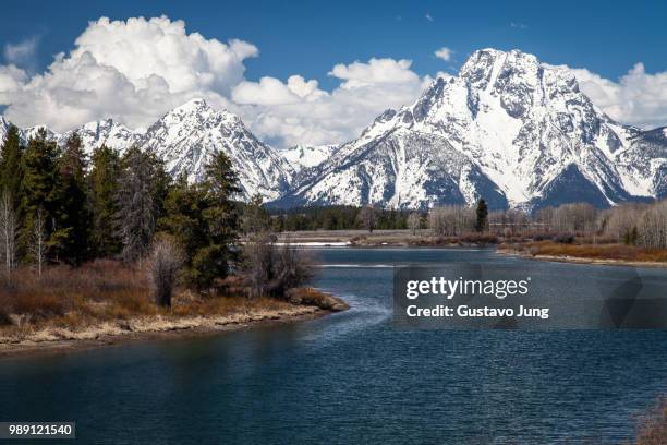 grand teton national park - park jung stockfoto's en -beelden