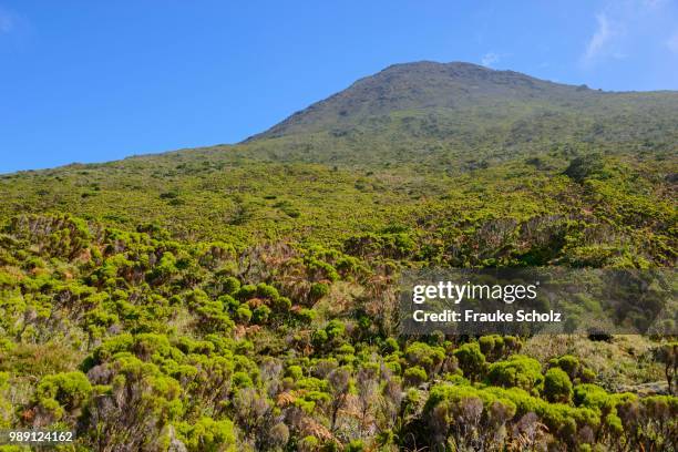 mount pico, highlands region, island of pico, azores, portugal - estratovulcão - fotografias e filmes do acervo