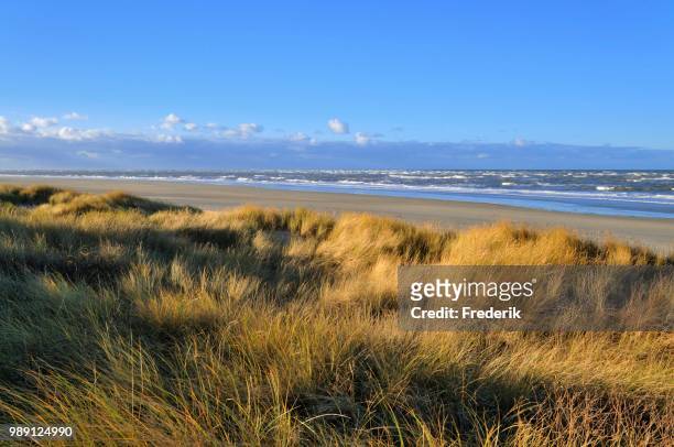 langeoog island, dunes on the north beach, choppy sea, north sea, lower saxony, germany - langeoog fotografías e imágenes de stock