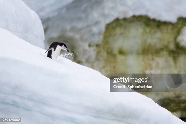 Kicking Rocks Stock Image Kicking Rocks Photos and Premium High Res Pictures - Getty Images