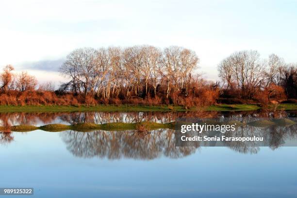 reflexion - reflexion stock pictures, royalty-free photos & images