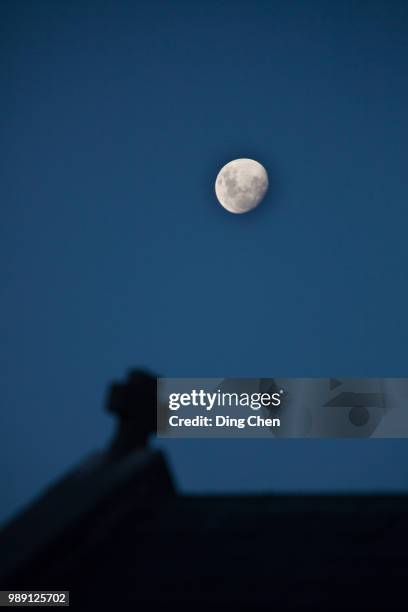 dark night of good shepherd - good shepherd stock pictures, royalty-free photos & images