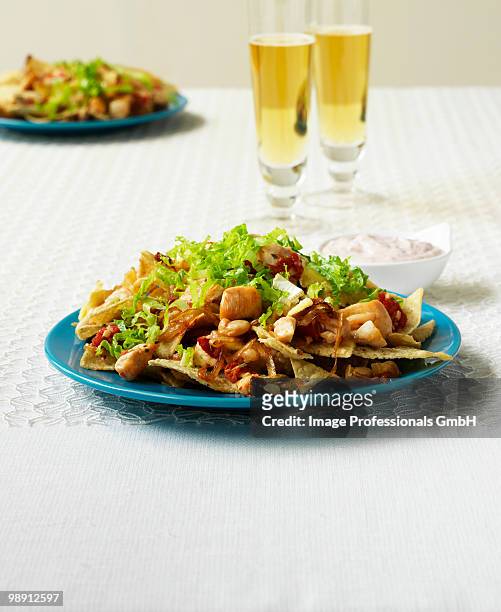 mexico, nachos with chicken and frisee - curly endive stock pictures, royalty-free photos & images