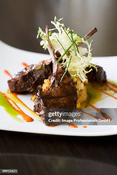 lamb chops with frisee garnish and vegetable puree, close-up - curly endive stock pictures, royalty-free photos & images