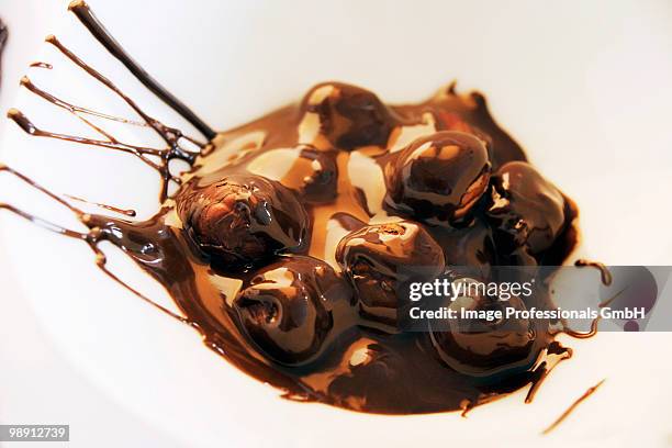 hazelnuts in melted chocolate, close-up - couverture stock pictures, royalty-free photos & images