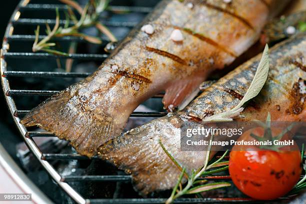 char tail fins on barbecue, close-up - speckled trout stock-fotos und bilder