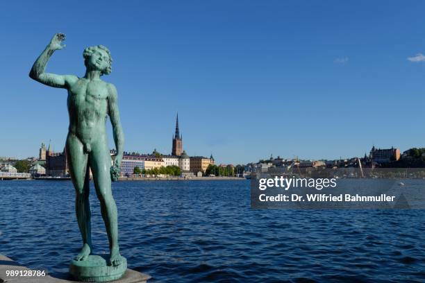 statue of carl eldh song in front of the town hall, historic centre gamla stan and riddarholmen behind, stadshus, stadshuset, kungsholmen, stockholm, sweden - kungsholmen town hall stockfoto's en -beelden