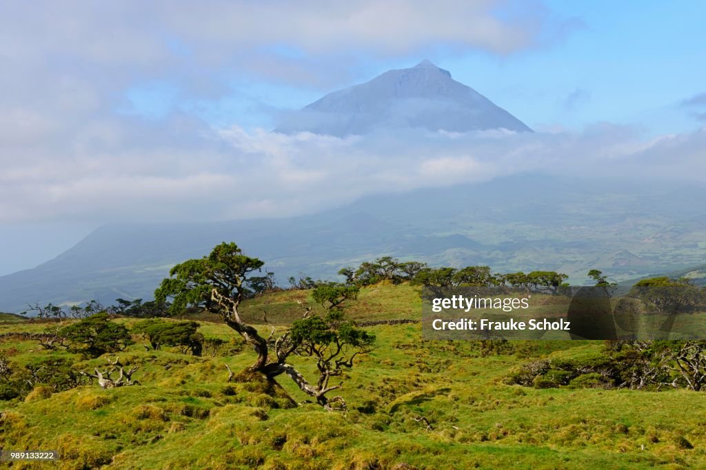 Pico mountain, Azores, Portugal